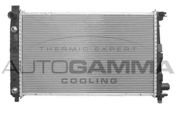 Radiator, engine cooling (102146)
