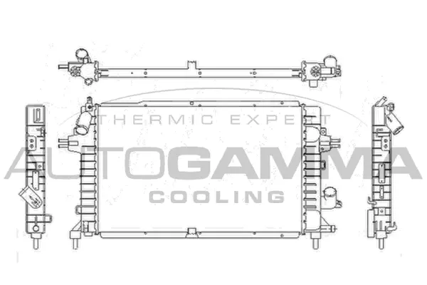 Radiator, engine cooling (103631)