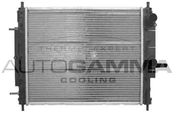 Radiator, engine cooling (101171)