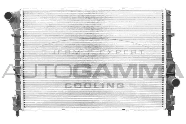 Radiator, engine cooling (103676)