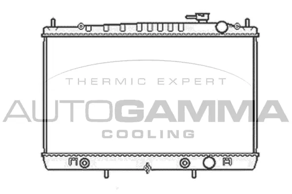 Radiator, engine cooling (104296)