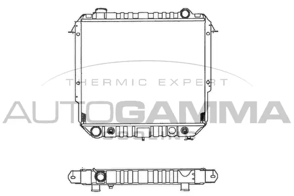 Radiator, engine cooling (100441)