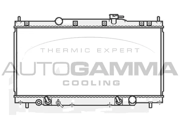 Radiator, engine cooling (107023)