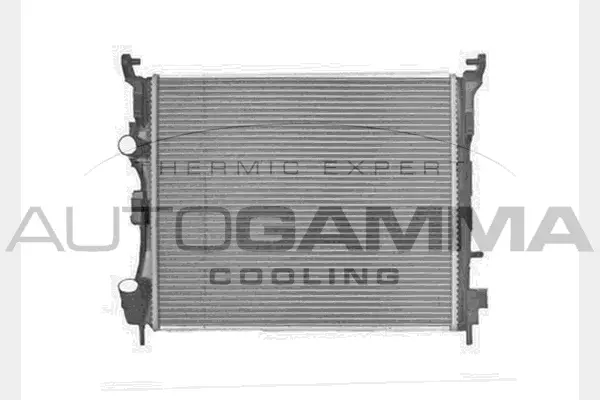 Radiator, engine cooling (103617)