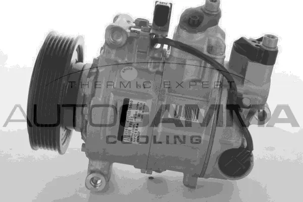 Compressor, air conditioning (118533)
