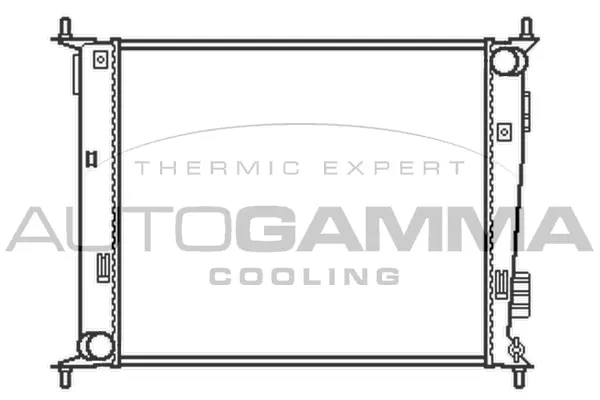 Radiator, engine cooling (105532)