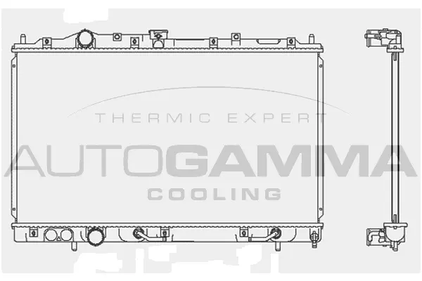 Radiator, engine cooling (103958)