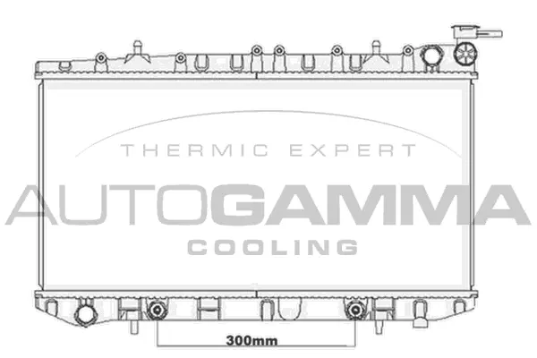 Radiator, engine cooling (105653)