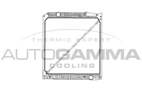 Radiator, engine cooling (401118)