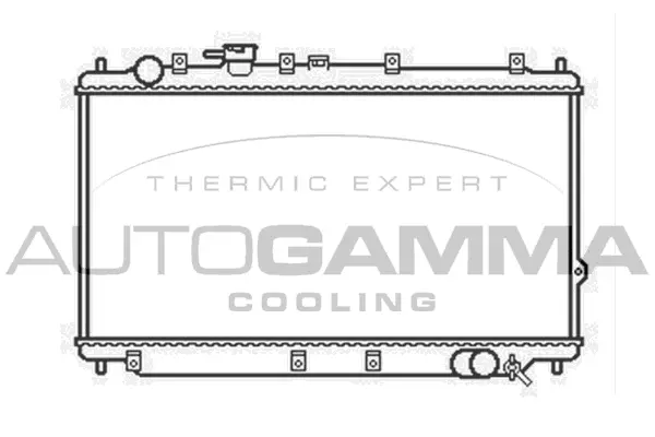 Radiator, engine cooling (104146)