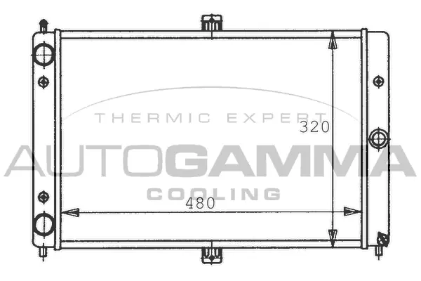Radiator, engine cooling (100444)
