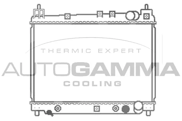 Radiator, engine cooling (102957)