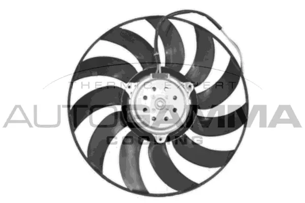 Fan, engine cooling (GA221303)