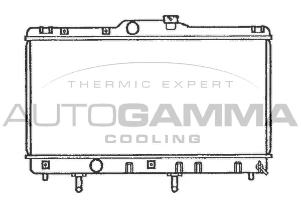 Radiator, engine cooling (101272)