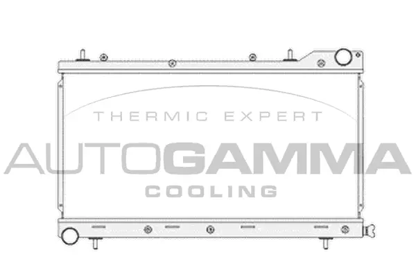 Radiator, engine cooling (104704)