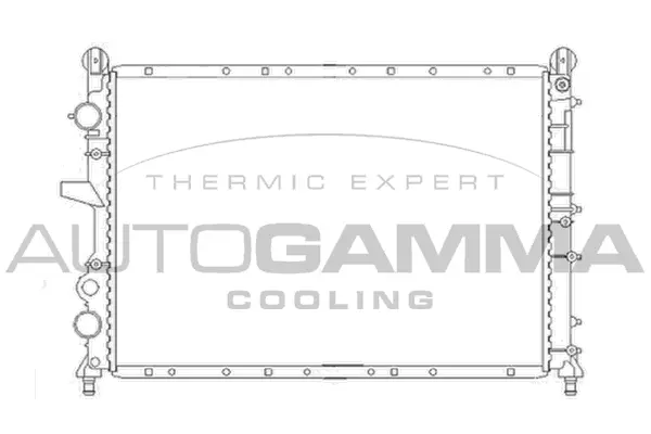 Radiator, engine cooling (100018)