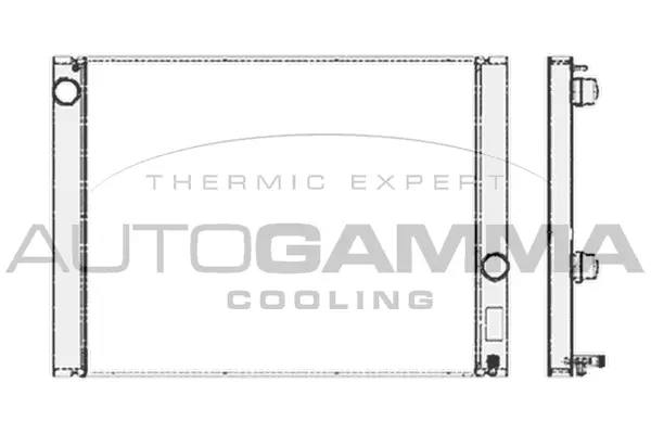 Radiator, engine cooling (103389)