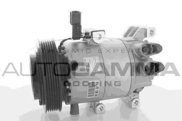 Compressor, air conditioning (118367)