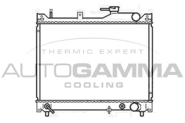 Radiator, engine cooling (104564)