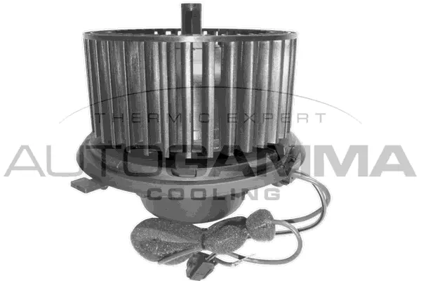 Interior Blower (GA31001)