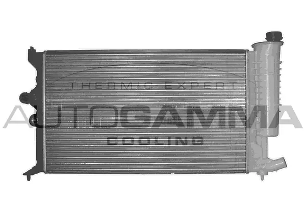 Radiator, engine cooling (101349)