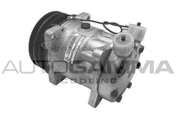 Compressor, air conditioning (108046)