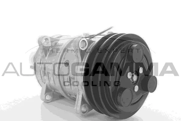 Compressor, air conditioning (109273)