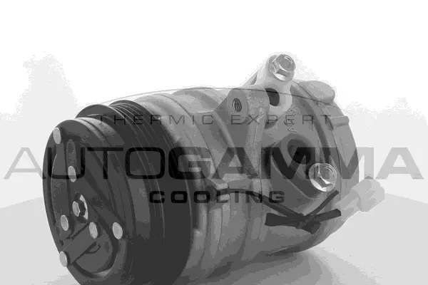 Compressor, air conditioning (108657)