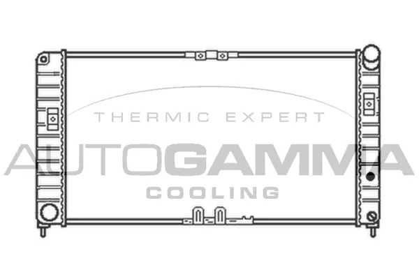 Radiator, engine cooling (102262)