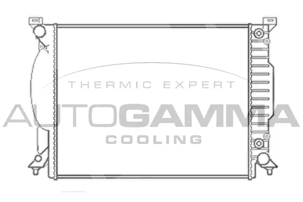 Radiator, engine cooling (102983)