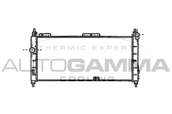Radiator, engine cooling (102222)