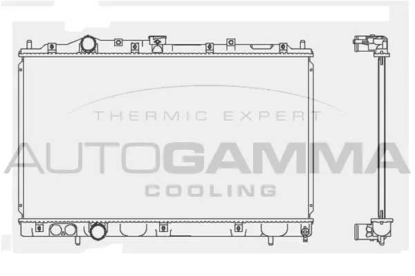 Radiator, engine cooling (101452)