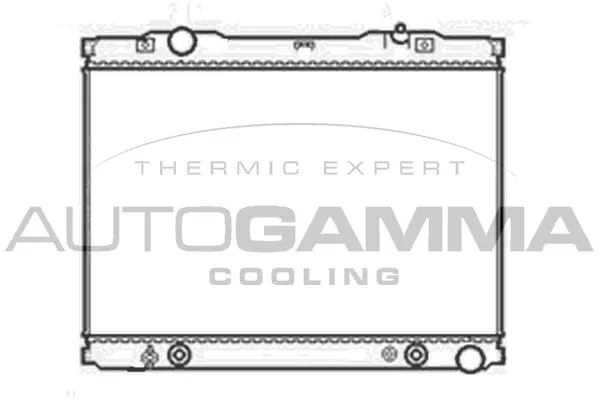 Radiator, engine cooling (103849)