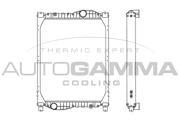 Radiator, engine cooling (404454)