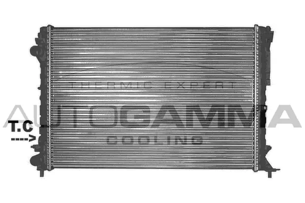 Radiator, engine cooling (101247)