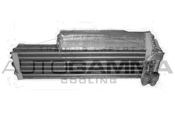 Evaporator, air conditioning (112161)