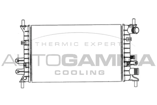 Radiator, engine cooling (100345)