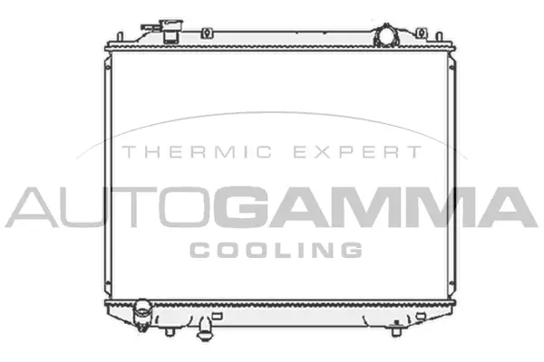 Radiator, engine cooling (105389)
