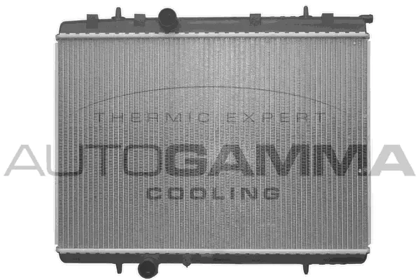 Radiator, engine cooling (103591)