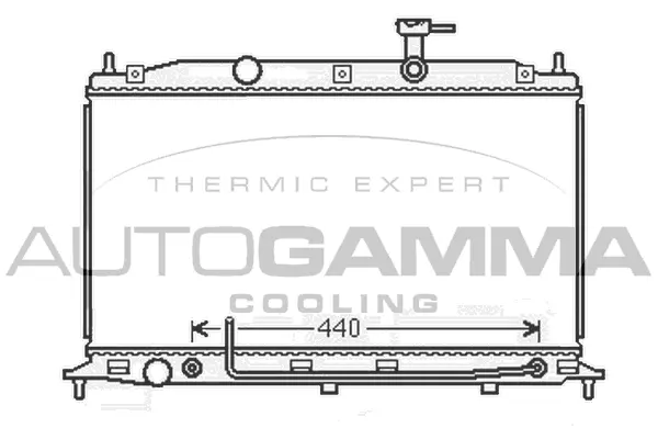 Radiator, engine cooling (105919)
