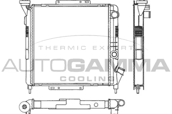 Radiator, engine cooling (100831)