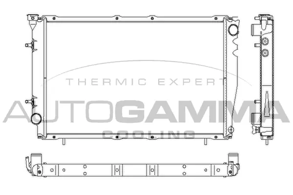 Radiator, engine cooling (102317)