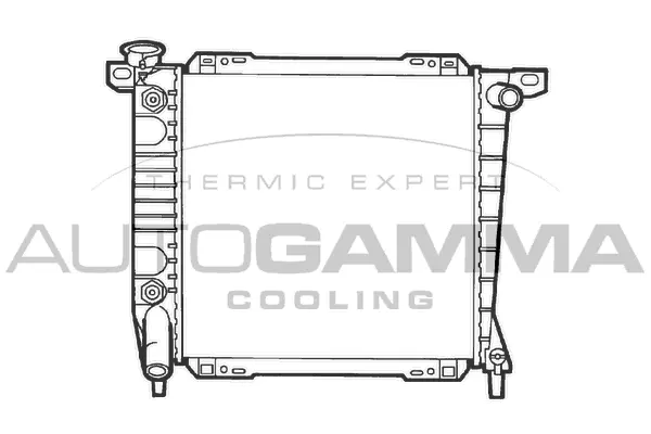 Radiator, engine cooling (102142)