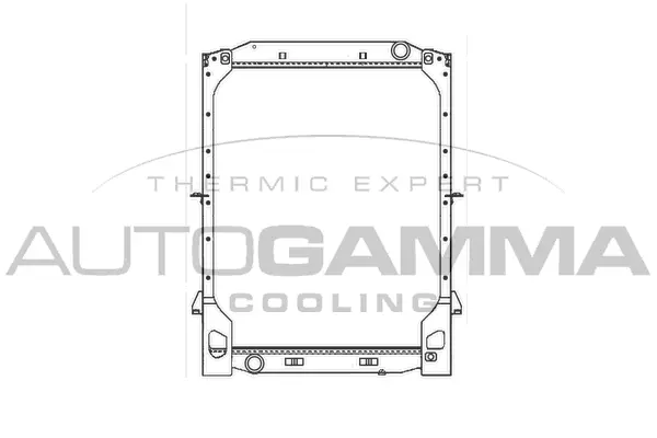 Radiator, engine cooling (404276)