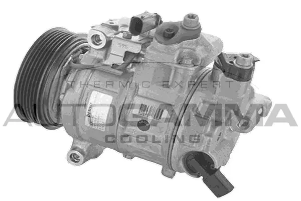 Compressor, air conditioning (118750)