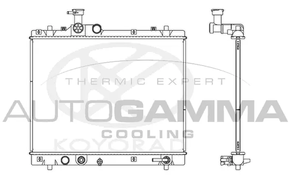 Radiator, engine cooling (107463)