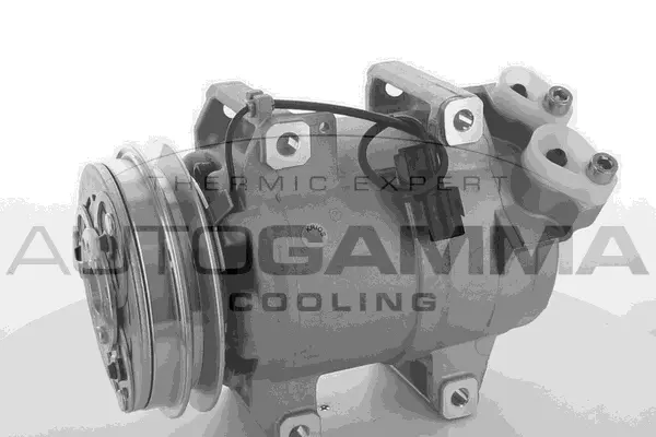 Compressor, air conditioning (118601)