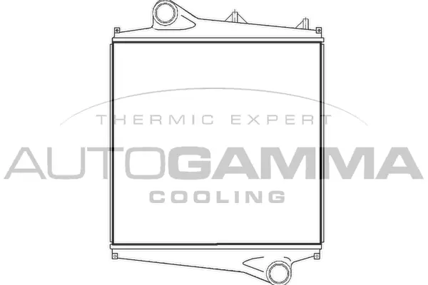 Charge Air Cooler (400348)