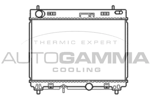 Radiator, engine cooling (105061)