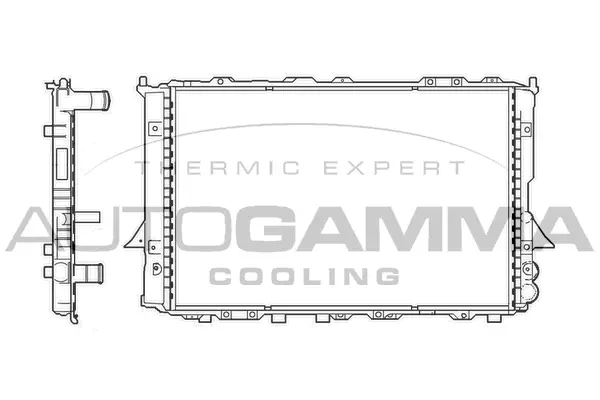 Radiator, engine cooling (100058)